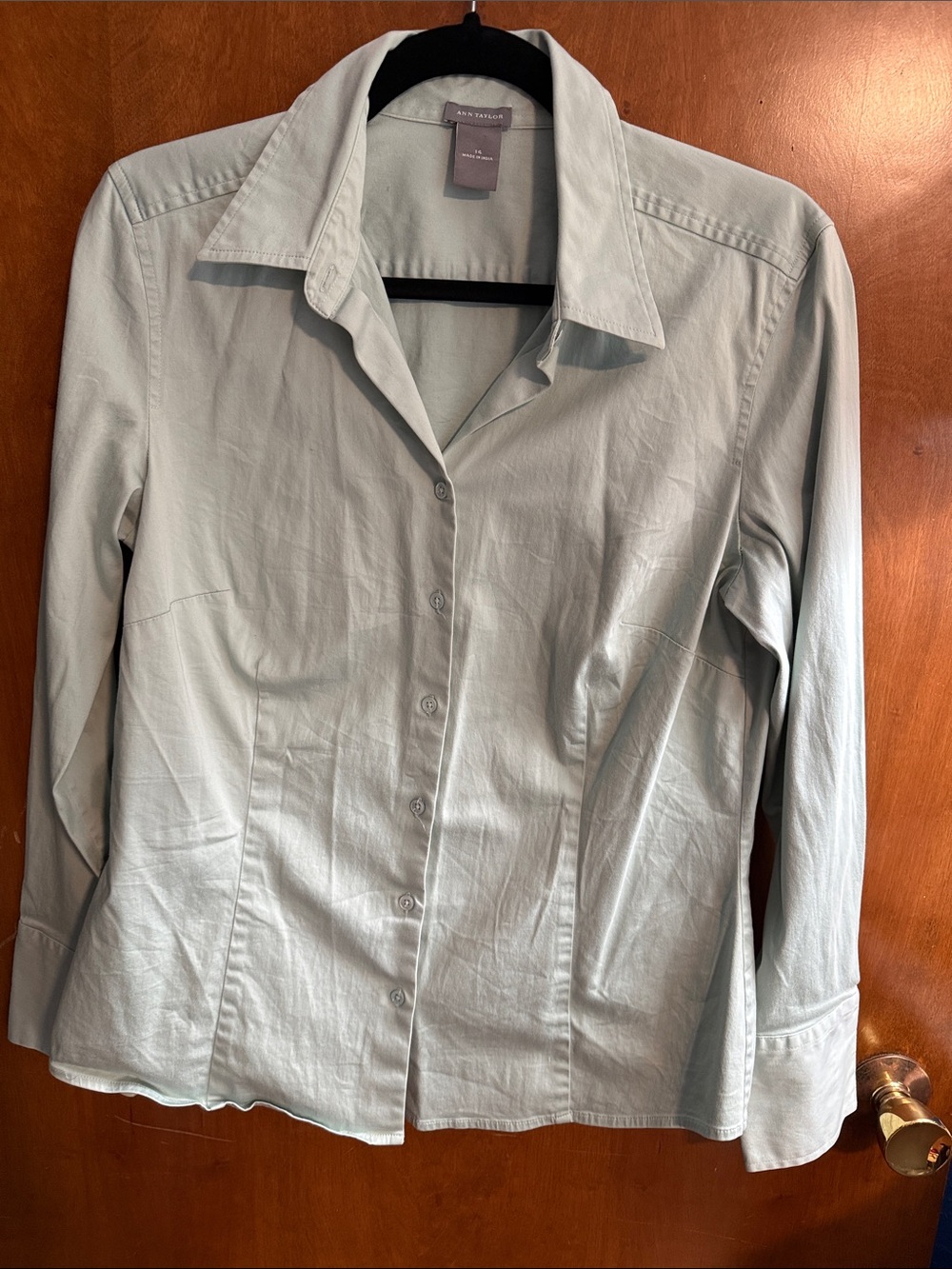 Ann Taylor Mint Green Tailored Button-Front Blouse